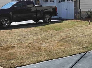 Joe S.'s Grass Cutting service result