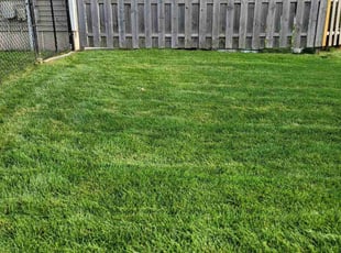 Kimberly L.'s Lawn Care service result
