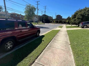 Frances A.'s Lawn Service service result