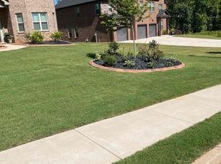 Skylier C.'s Lawn Service service result
