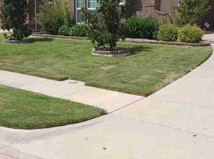 Cory W.'s Lawn Service service result