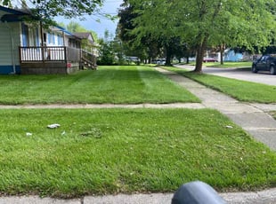 Debbie D.'s Lawn Mowing service result