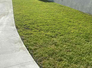 Joe J.'s Lawn Care service result