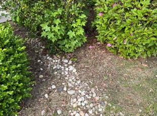 Weeding by Jarvis Hambrick for Raymond R. in Simpsonville, SC