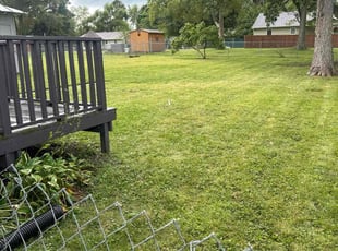 Cedrick F.'s Yard Cutting service result