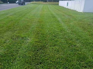 Nina T.'s Lawn Service service result