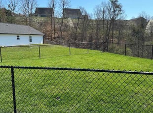 Jimmie S.'s Lawn Mowing service result
