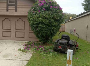 Bush Trimming by Marvel Carmichael for martin d. in Longwood, FL