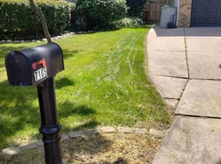 Valorie E.'s Lawn Care service result