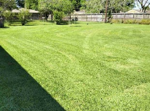 Jason K.'s Lawn Maintenance service result
