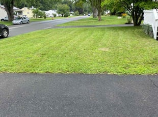 Rob C.'s Lawn Mowing service result
