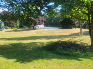 Tammy M.'s Grass Cutting service result