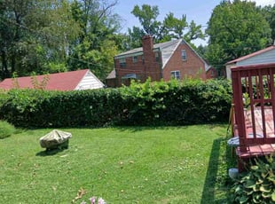 William H.'s Lawn Mowing service result