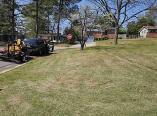 Rose G.'s Lawn Mowing service result
