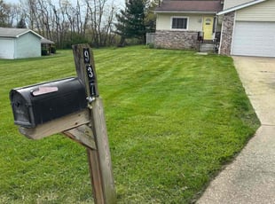Sheila G.'s Lawn Mowing service result