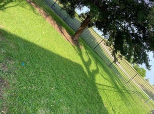 Grace O.'s Lawn Service service result