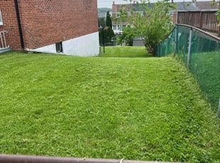 Lisa L.'s Lawn Service service result