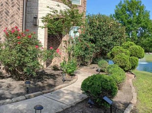 Weeding by Ana Zelaya for Louie L. in Missouri City, TX