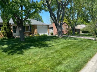 Cheryl L.'s Lawn Care service result