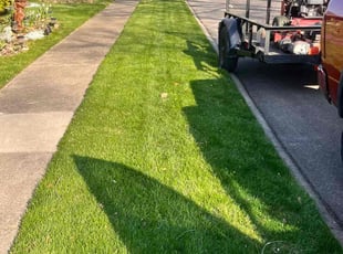 Dwayne M.'s Lawn Care service result