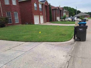 Alex P.'s Lawn Mowing service result