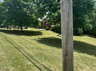 Barbara S.'s Yard Cutting service result