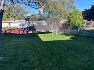 Ally N.'s Yard Cutting service result