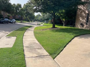 Walter W.'s Lawn Mowing Service service result
