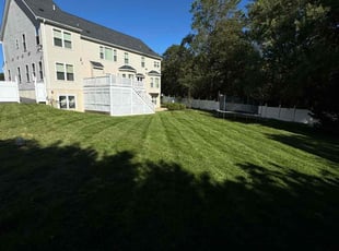 Lois G.'s Grass Cutting service result