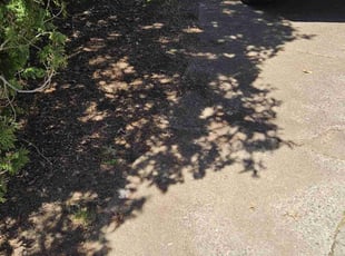 Leaf Removal by David Waksmunski for Rosalind J. in Pittsburgh, PA
