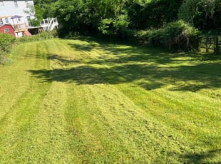 Doug D.'s Lawn Maintenance service result