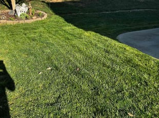 Danielle C.'s Lawn Care service result