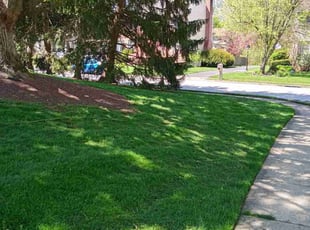 Joanna H.'s Lawn Care service result