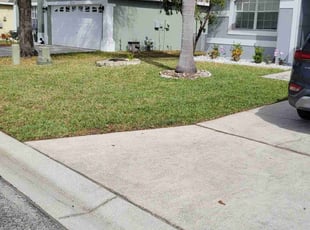 Louis J.'s Lawn Mowing service result