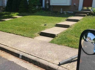 Mohan P.'s Lawn Mowing Service service result