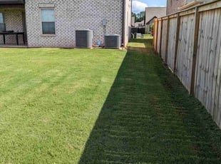 Jatia W.'s Lawn Mowing Service service result