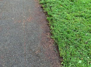 Robby T.'s Grass Cutting service result