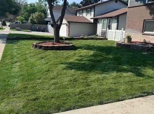 Liam S.'s Grass Cutting service result