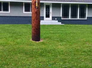 Cheryl W.'s Yard Cutting service result
