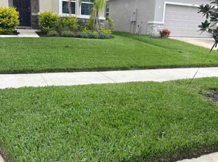 Andrea M.'s Lawn Service service result