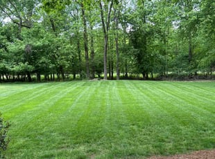 Sara N.'s Lawn Maintenance service result