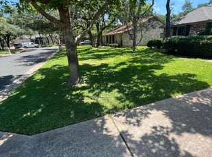 Donald R.'s Lawn Care service result