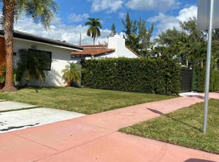 Msteven B.'s Lawn Care service result