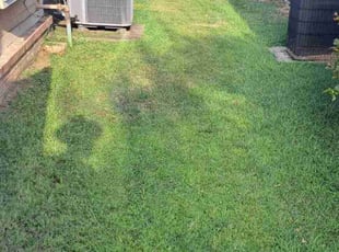 Anthony B.'s Lawn Service service result