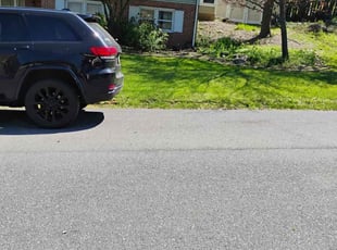 Cody W.'s Grass Cutting service result