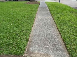 Rebecca S.'s Lawn Mowing service result