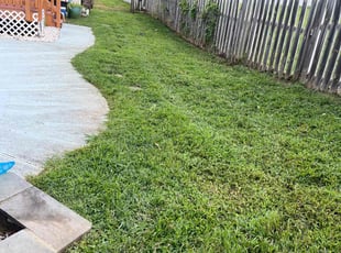 Dorothy D.'s Lawn Mowing Service service result