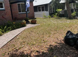 Leaf Removal by Jared McGee for Glenn m. in Tampa, FL