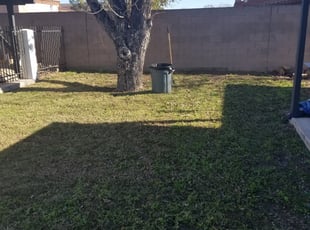 Leaf Removal by Raul Blanco for Jay N. in Phoenix, AZ
