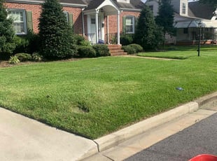 Eric E.'s Grass Cutting service result